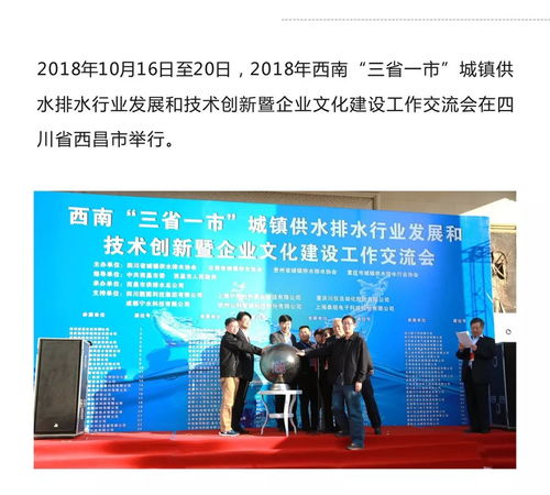 靚固集團參與2018年西南三省一市城鎮供水排水行業發展與技術交流會，推動企業文化建設與藝術交流